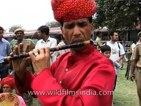 Rajasthani folk dance & music performed at Jaipur Elephant Festival