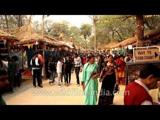 27th Surajkund International Crafts Mela 2013, Haryana