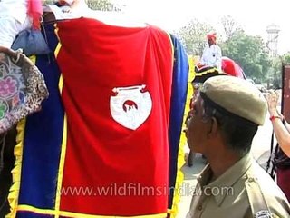 Flag-off ceremony of Jaipur Elephant Festival