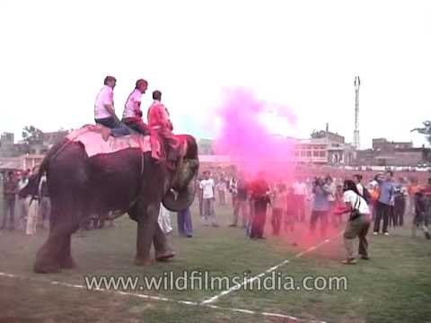 People play holi by mounting on elephants! Full advantage to throw colours at people!