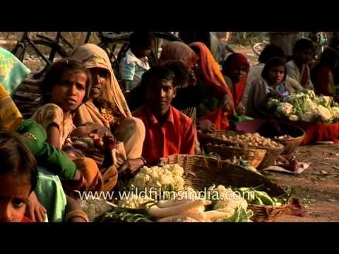 Underage kids selling veges on the roadside in Uttar Pradesh, India