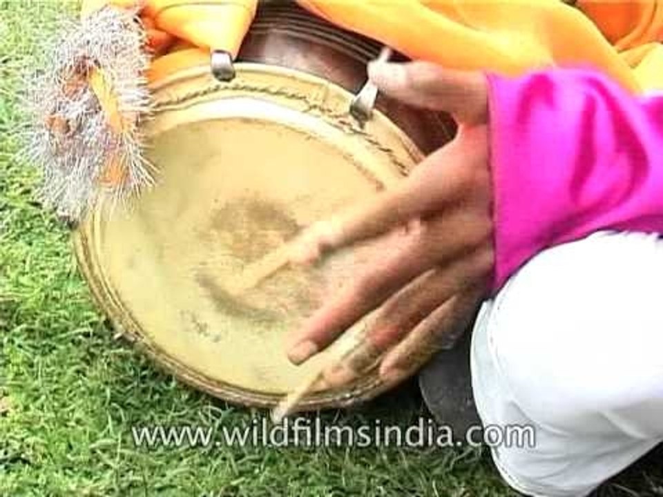 Musical extravaganza at the Jaipur Elephant Festival