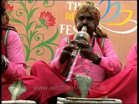 Snake charmer with a dummy king cobra playing in Dilli Haat
