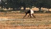 Agriculture in Uttar Pradesh, India