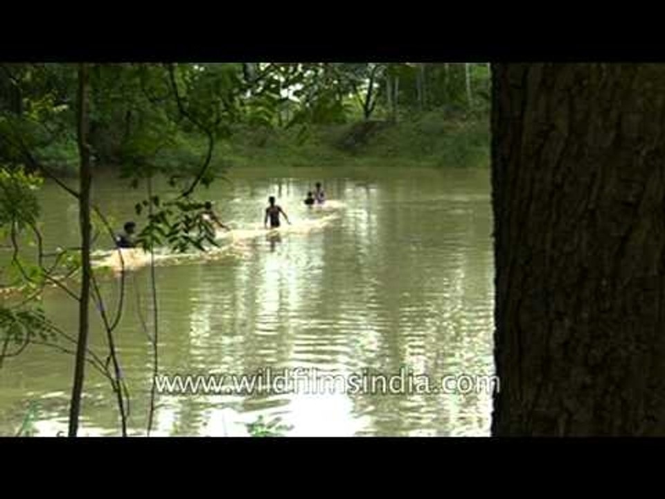 Casting fishing net in a pond to catch fish, Uttar Pradesh