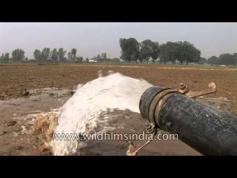Pumping ground water for agriculture in India
