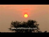 An Uttar Pradesh sundowner