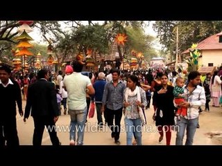 Crafts of different states at Surajkund crafts mela