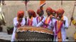 Elephant Festival cum Holi celebration in Jaipur