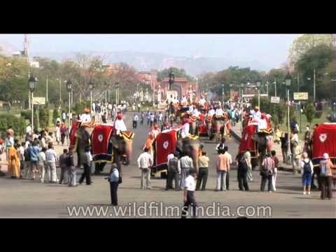 Decorated elephants parade during the Jaipur Elephant Festival at Holi