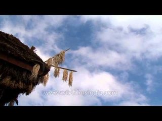 Clouds in time lapse from a Naga hut, Kisama