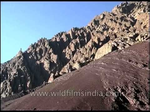 Signs of Himalayan uplift and tectonic plates in Ladakh