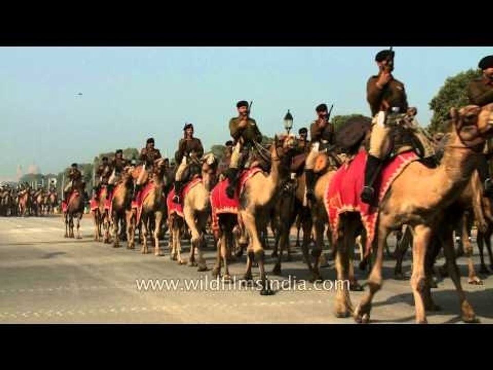 Indian Army rides on camels' back on Republic day parade