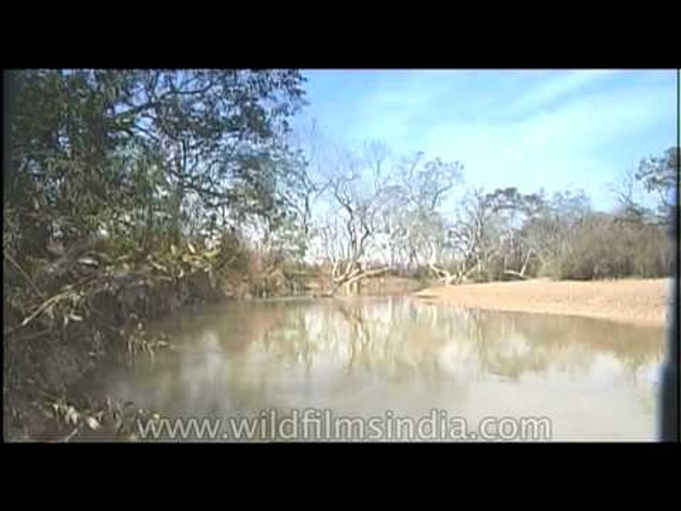 Water bodies in Dudhwa National Park, Uttar Pradesh