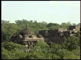 Raj Bagh Ruins near Padam Talao in Ranthambore National Park