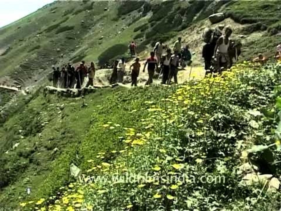 Amarnath pilgrims proceed towards the cave, Jammu and Kashmir