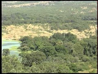 Padam Talao - Ranthambore National Park's largest lake, Rajasthan