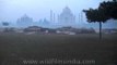 Morning mist over Agra's Taj Mahal mausoleum complex