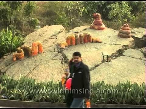 Feast your eyes on the gardens and rocky outcrops : Garden of Five Senses