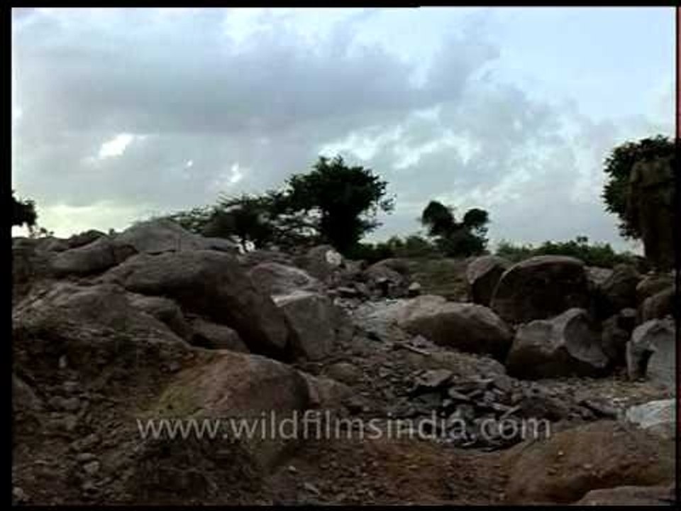 Mining and quarrying activities in the Aravalli region, near Delhi