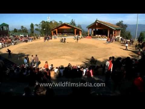 Visitors race around Kisama village during Hornbill!