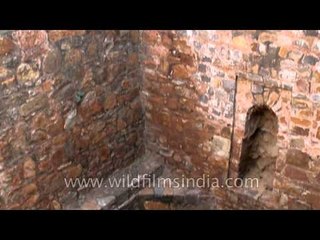 Step-wells at Wazirpur group of monument complex