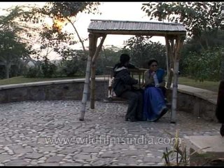 An evening at the Garden of Five Senses