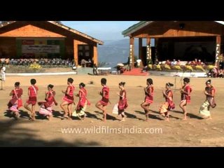 Arunachal pradesh dance at Hornbill festival, Nagaland