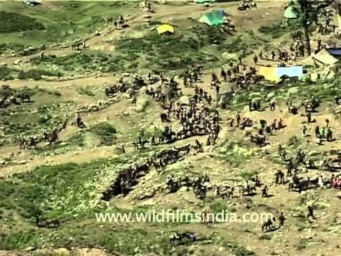 Thousands of pilgrims en route Amarnath holy shrine