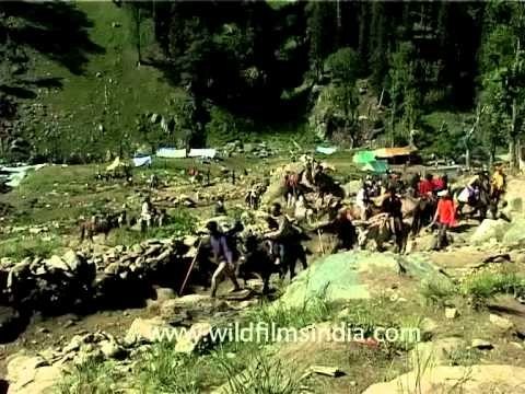 Pilgrims riding ponies on the way to Amarnath Cave