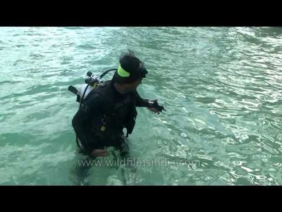 Going down for Scuba diving...
