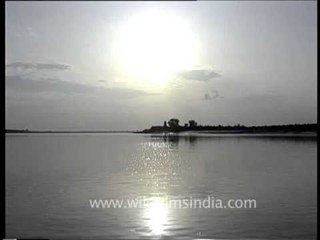 Boat-ride down the Chambal river, near Ranthambhor