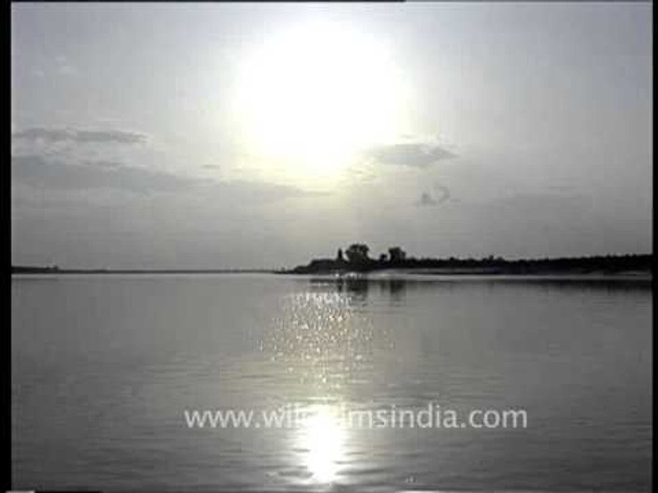 Boat-ride down the Chambal river, near Ranthambhor