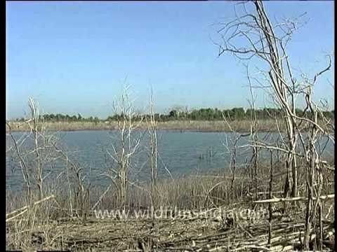 The scenic Pench river backwaters near Pench National park, Madhya Pradesh