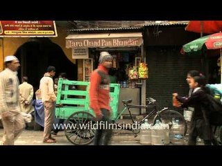 Amidst the chaos of Old Delhi lies the forgotten mansion of Zeenat Mahal