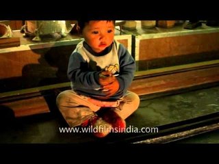 Cute Naga toddler crawling and getting playful at Kohima Hornbill Night Bazar