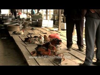 Locally bred live chicken on sale at Senapati bazaar, Manipur