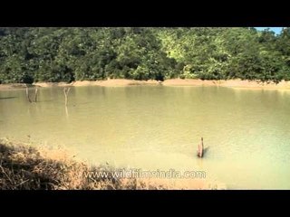 Calm and pristine Doyang river, Nagaland