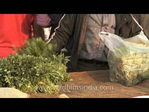 Fresh fenugreek leaves on sale at a market place near Okhla metro station, Delhi
