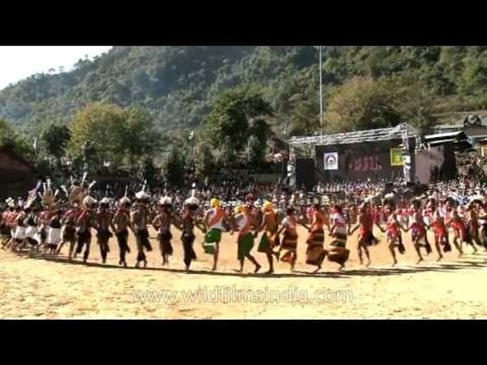 Tribal war cries mark the opening of Nagaland's Hornbill festival 2012