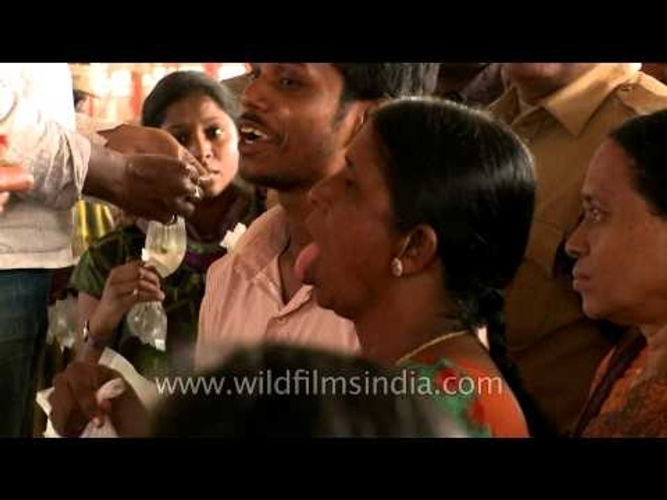 Swallowing live fish - remedy that freaks you out!