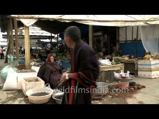 Bizarre food but popular with Nagas - Live frogs and eels in Kohima