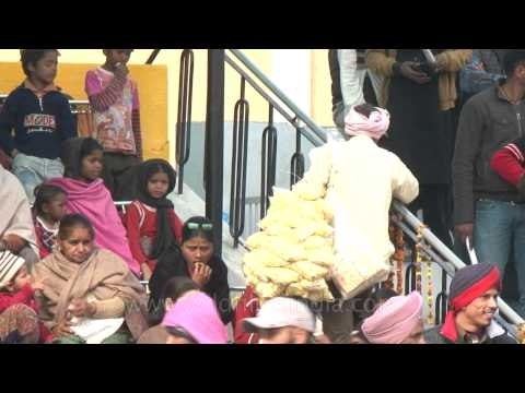 Spectators grab the best seats to watch the amazing feats of rural olympics