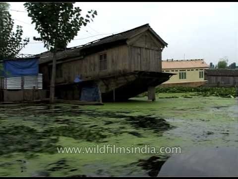 Kashmiri Houseboats in Srinagar!