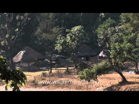 Gujjar dera inside Rajaji National Park near the foothills of Himalayas