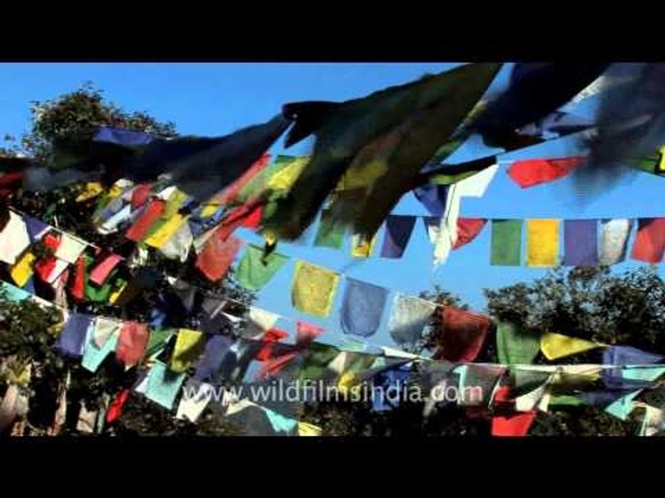 Swaying prayer flags on top of flag hill in Jab...