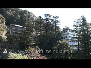 Study the outdoors at Hanifl Centre for Outdoor Education, Mussoorie