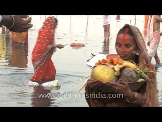 Hindu devotees take a dip into the Yamuna on Chatt Puja