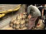 Pretty diyas air dried for diwali in Paharganj, Delhi