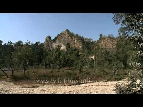 Shivalik hills in Rajaji National Park
